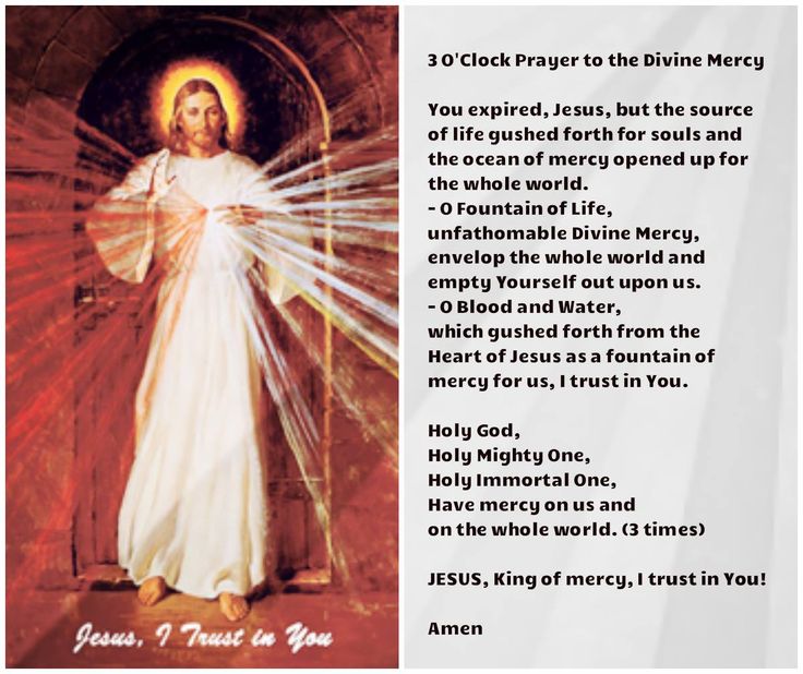 Divine Mercy Prayer In Tamil Pdf - High-powerprinter